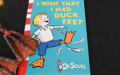 Take Away Teaching Ideas #9: I Wish I Had Duck Feet