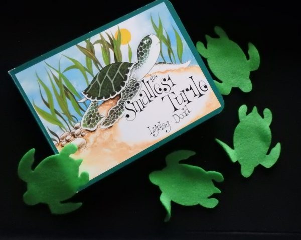The Smallest Turtle Teaching Resource